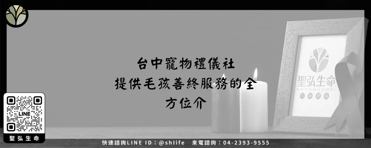 台中寵物禮儀社－提供毛孩善終服務的全方位介