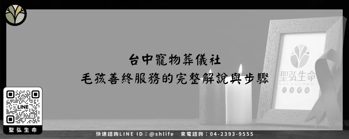 台中寵物葬儀社－毛孩善終服務的完整解說與步驟