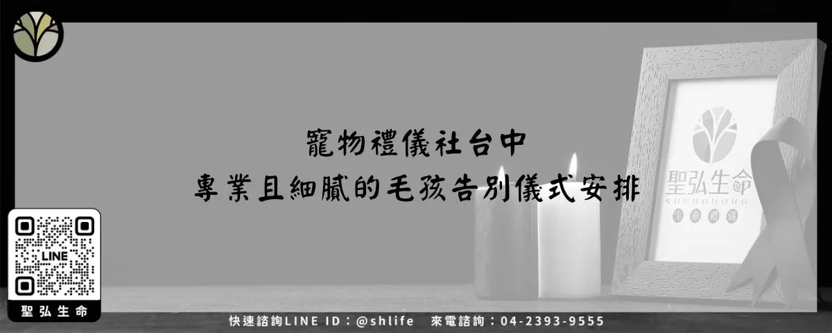 寵物禮儀社台中－專業且細膩的毛孩告別儀式安排