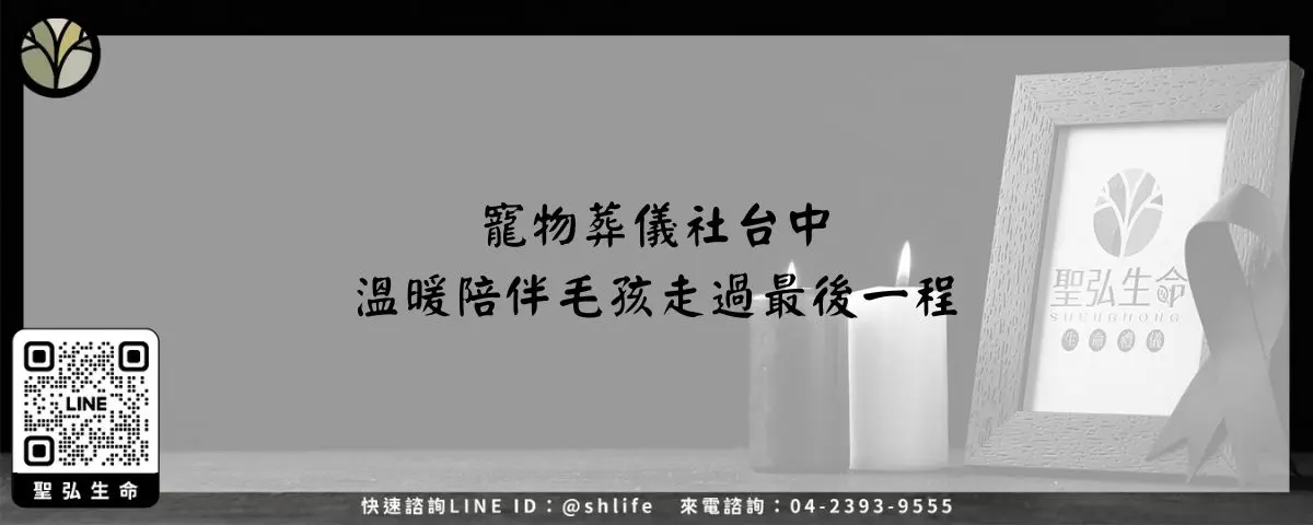寵物葬儀社台中－溫暖陪伴毛孩走過最後一程
