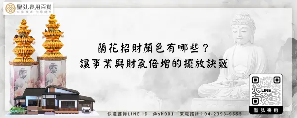蘭花招財顏色有哪些？讓事業與財氣倍增的擺放訣竅