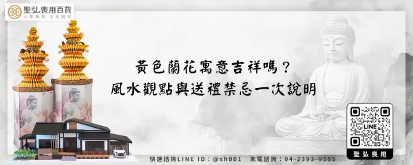 黃色蘭花寓意吉祥嗎？風水觀點與送禮禁忌一次說明