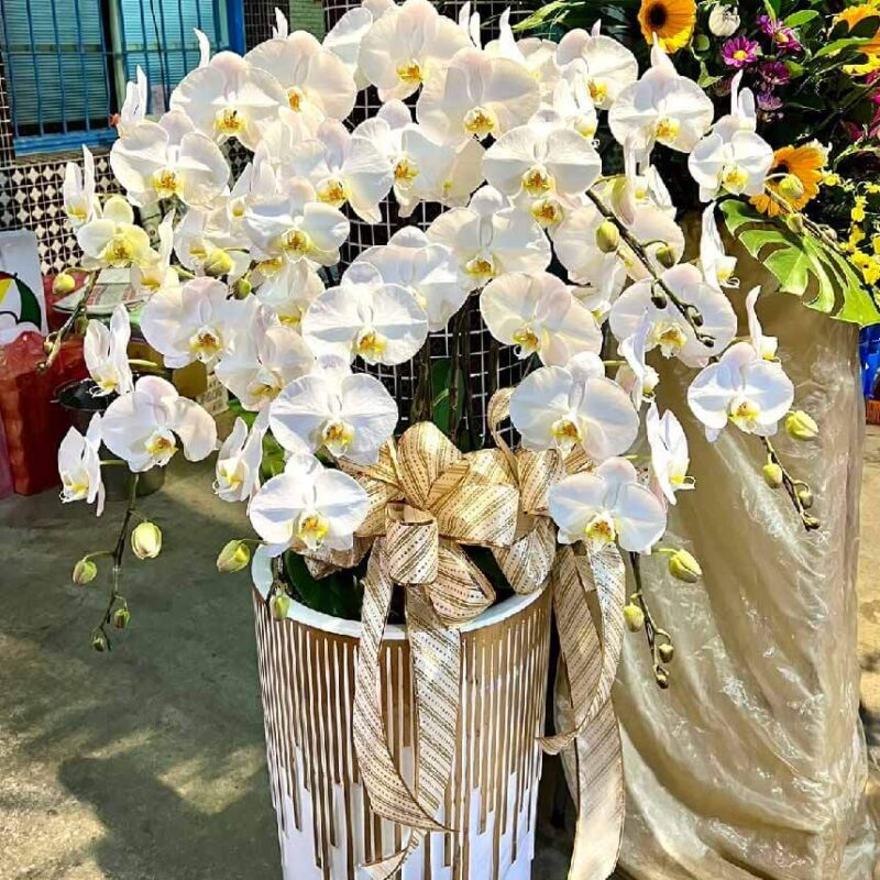 冰清玉潔 商品.jpg