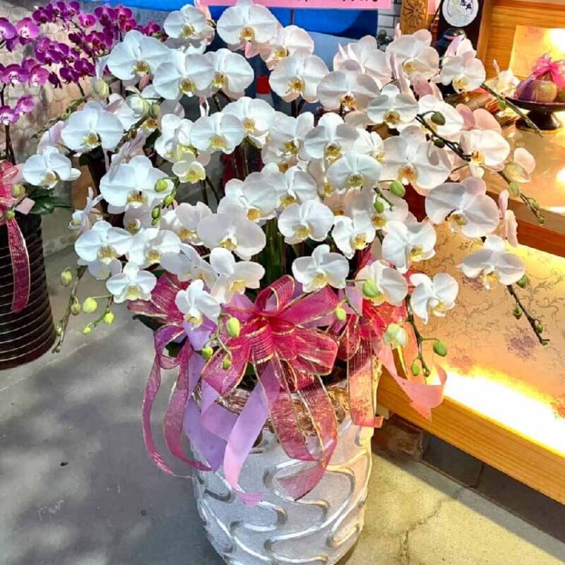 弔唁蘭花 商品.jpg