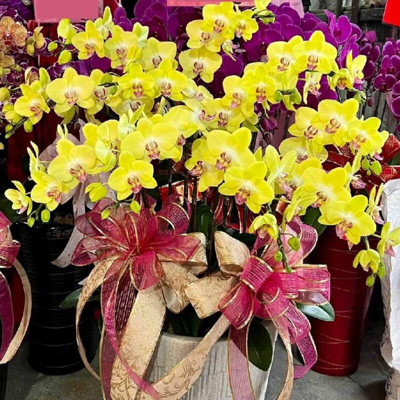 騰然意昂 商品.jpg