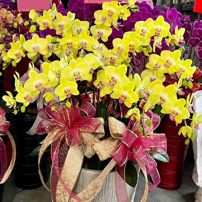 騰然意昂 商品.jpg