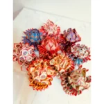 往生九品蓮花 2