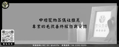 中壢寵物葬儀社推薦－專業的毛孩善終服務與安排