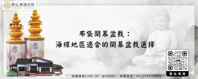 布袋開幕盆栽：海線地區適合的開幕盆栽選擇