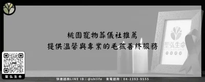 桃園寵物葬儀社推薦－提供溫馨與專業的毛孩善終服務