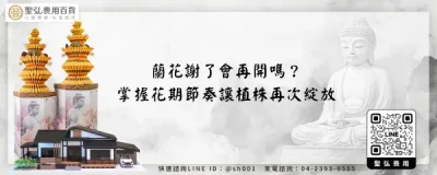 蘭花謝了會再開嗎？掌握花期節奏讓植株再次綻放