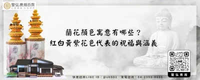 蘭花顏色寓意有哪些？紅白黃紫花色代表的祝福與涵義